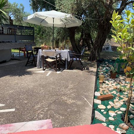 Cactus Suite Πρίνος Εξωτερικό φωτογραφία