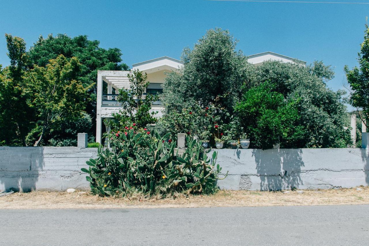 Cactus Suite Πρίνος Εξωτερικό φωτογραφία