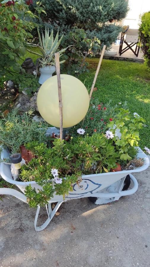 Cactus Suite Πρίνος Εξωτερικό φωτογραφία