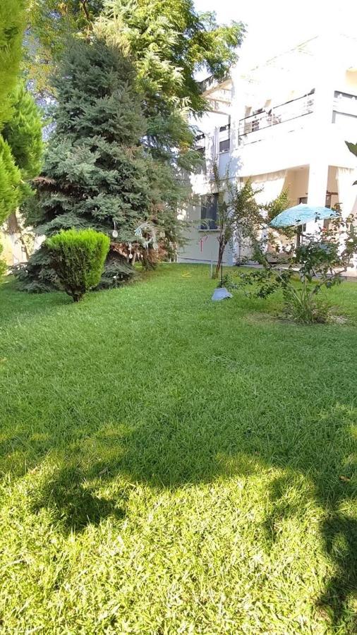 Cactus Suite Πρίνος Εξωτερικό φωτογραφία